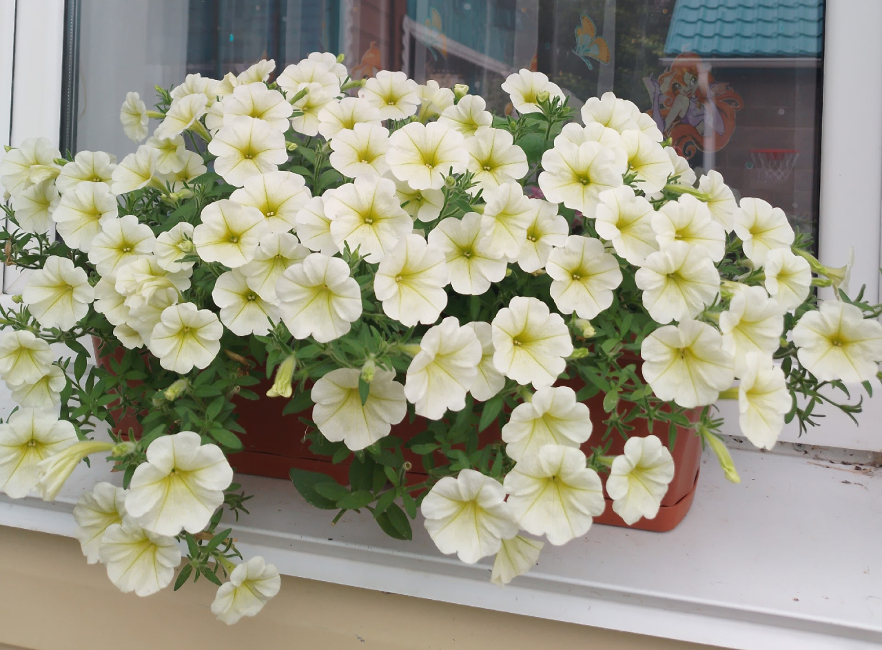 Фото: vk.com/club216043080