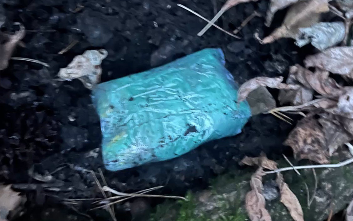 Фото: 72.мвд.рф