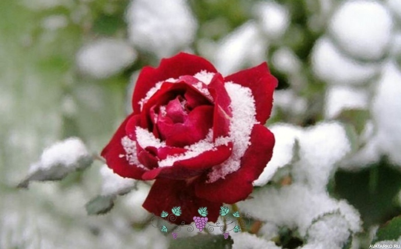 Фото: vk.com/club222769068